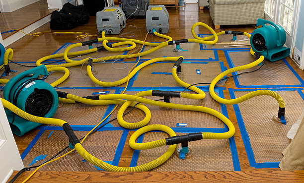 Professional Water Damage Repair technician working in Waterloo, OH
